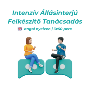Intenziv-Allasinterju-Felkeszito-Tanacsadas-angol-180-perc-processhunt